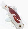 *Hopko Koi Fish Glass Sculptures