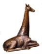 African and Exotic Wildlife
