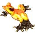 Alysa Bronze Frog Sculptures