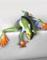 Bronze Peek-A-Boo Frogs