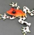 Kookala Bronze Frogs