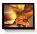 Digital Wall Art