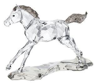 2014  SCS Foal