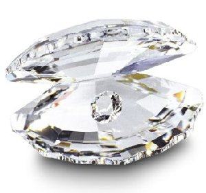 Swarovski Crystal Shell