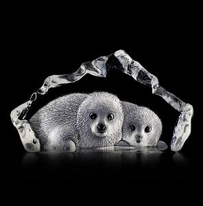 Mats Jonasson Wildlife Baby Seals
