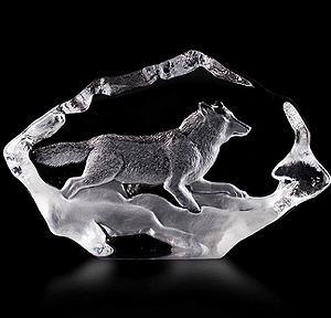 Mats Jonasson Wildlife Wolf Running