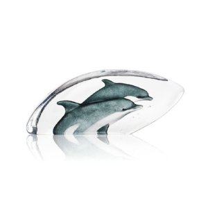 Dolphins