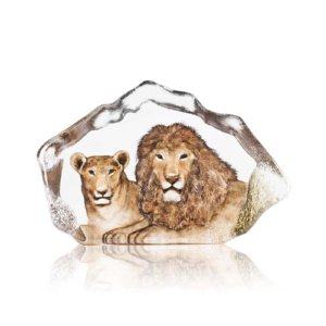 Wildlife Lion Ltd Ed