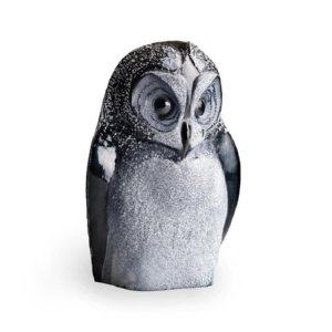 Safari Owl