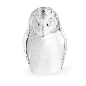 Safari Owl