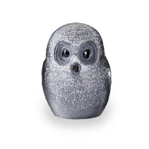 Safari Owl