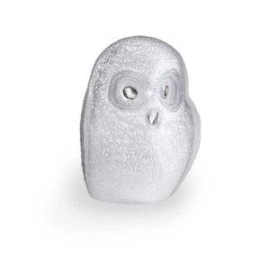 Safari Owl