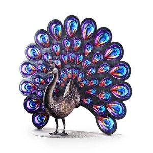 Peacock Ltd Ed