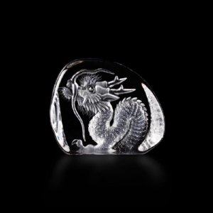 Wildlife Dragon (small)