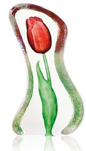 Floral Fantasy Tulip