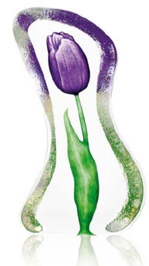 Floral Fantasy Tulip