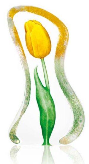 Floral Fantasy Tulip