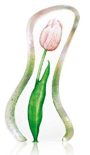 Floral Fantasy Tulip