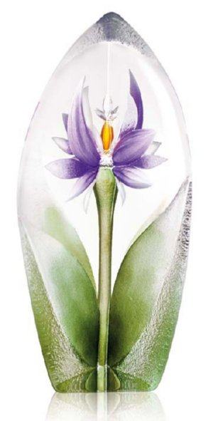 Floral Fantasy Lelia Ltd Ed