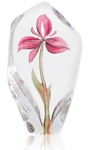 Floral Fantasy Residia