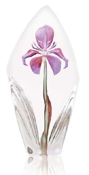 Floral Fantasy Acarena