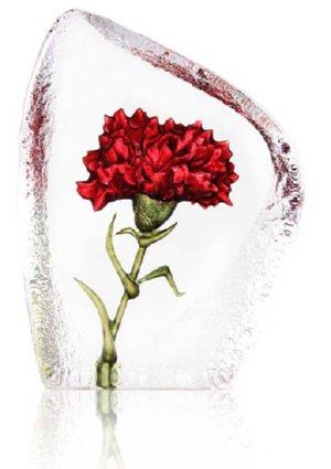 Floral Fantasy Carnation