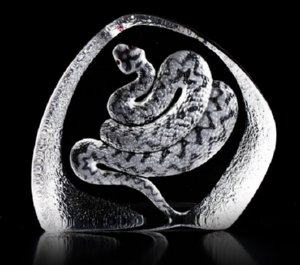 Wildlife Snake
