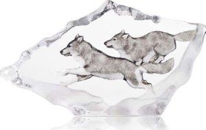 Wildlife Wolves