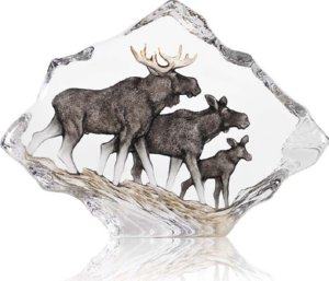 Wildlife Moose Family
