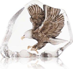 Wildlife Sea Eagle