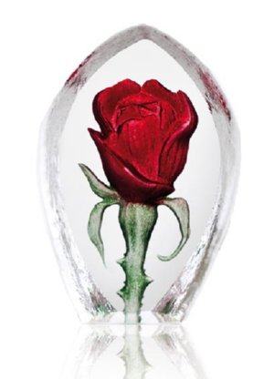 Floral Fantasy Rose (miniature)