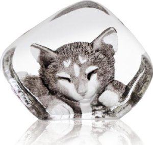 Wildlife Cat (miniature)