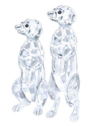 MeerKats SALE