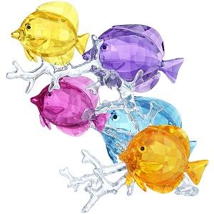 Swarovski Rainbow Fish Family
