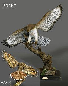 Bronze Red Tail Hawk