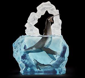 Kindred Souls Whales by Kitty Cantrell