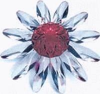 SCS Red Marguerite Flower