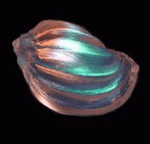 Marine Dichroic Shell CURRENTLY UNAVAILABLE