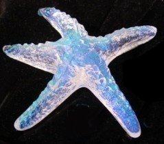Starfish Small Dichroic CURRENTLY UNAVAILABLE