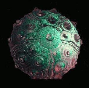 Urchin - Dichroic Shell CURRENTLY UNAVAILABLE