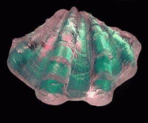 Fluted Clam  Wonder Dichroic Shell CURRENTLY UNAVAILABLE