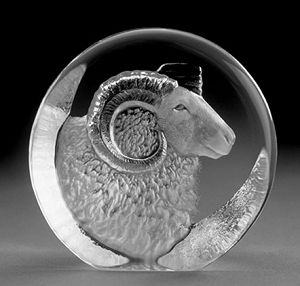 Ram - Sheep Head