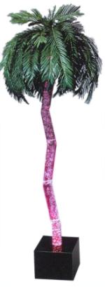 Aqua Palm