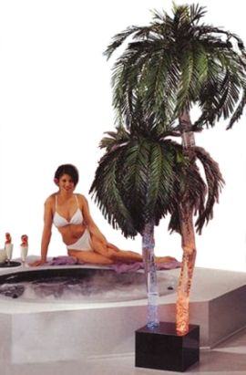 Aqua Palms