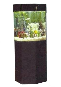 Pentaview Triangular Corner Aquarium