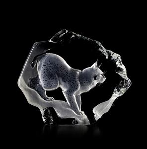 Mats Jonasson Wildlife Lynx