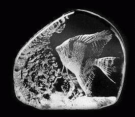 Mats Jonasson Crystal Coral Fish Sculpture 33562