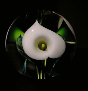 White Calla Lily round Paperweight