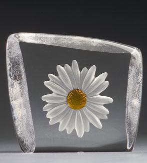 Mats Jonasson Daisy, White - MJ 33870