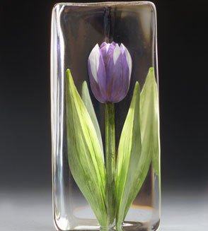 Mats Jonasson Tulip Purple, Large - MJ 33875